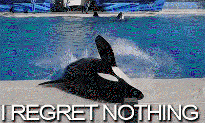 a gif of an orca at seaworld with the words 