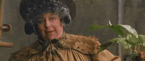 A gif of Professor Sprout from Harry Potter holding a mandrake plant. 