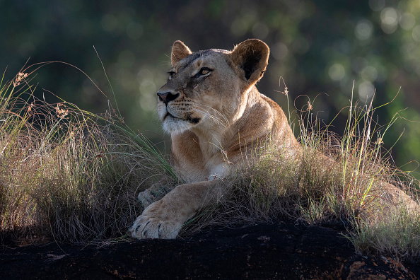 Kenya