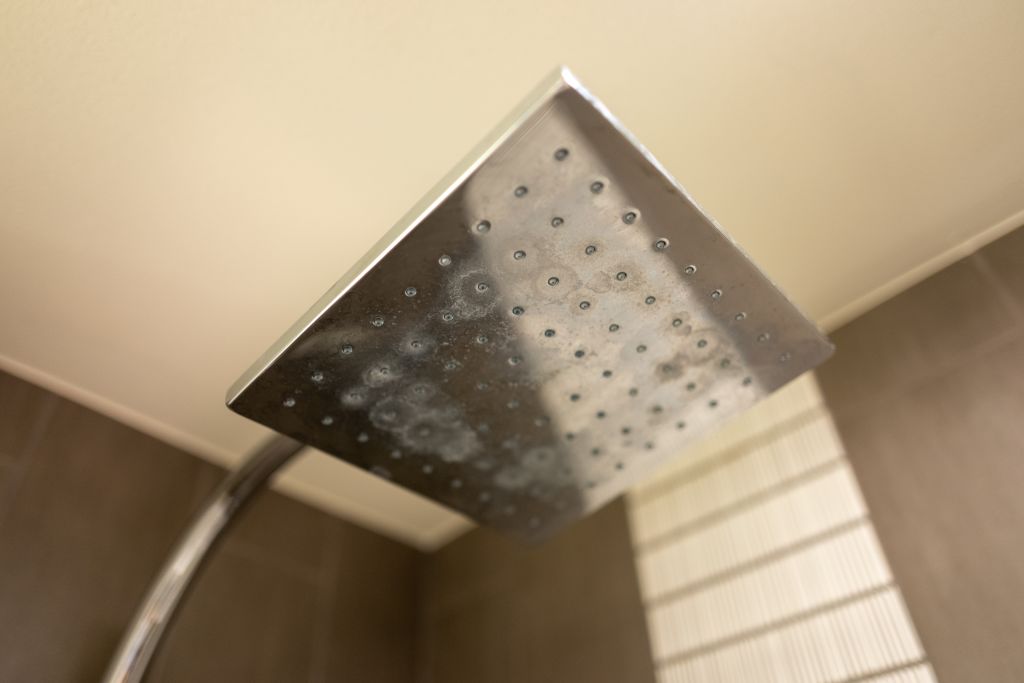 Rain Shower