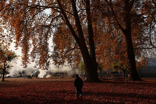 Winters In Kashmir