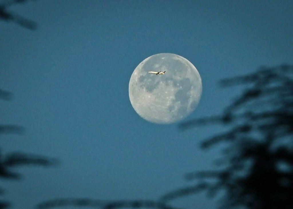 Beaver Moon