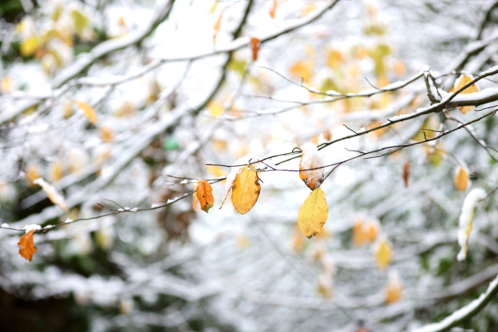 Cold Snap Sweeps UK Regions