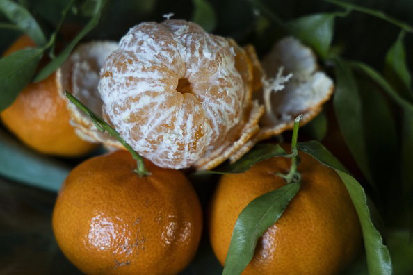 BELGIUM ILLUSTRATION MANDARINES