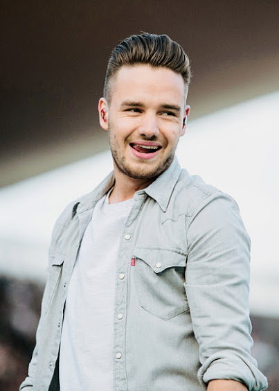 Liam Payne (Flickr | alpajakabaVEVO)