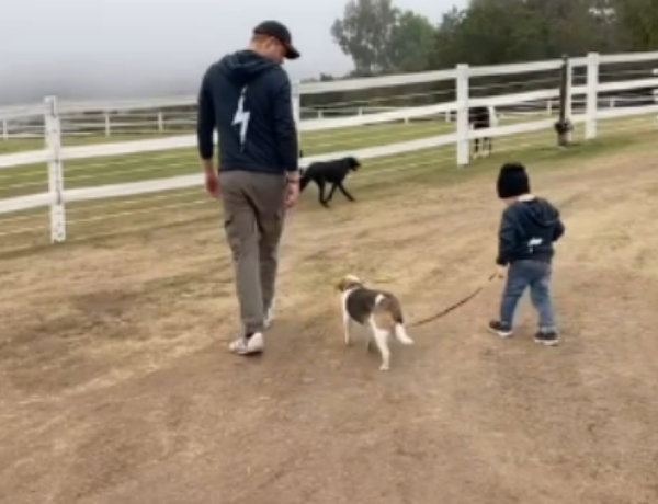 Prince Harry, Archie and Guy