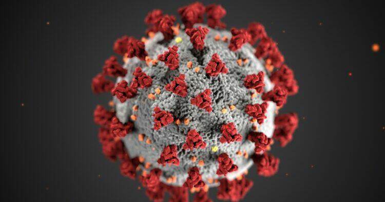 COVID-19 molecule illustration (Unsplash | CDC)