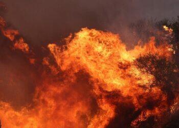 Palisades Fire