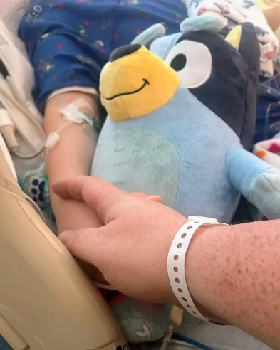 Olivia Blackmer in hospital (GoFundMe)