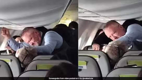 An Alaska Airlines flight attendant punches an unruly passenger in the throat and torso to force him to let go of a woman’s hair.