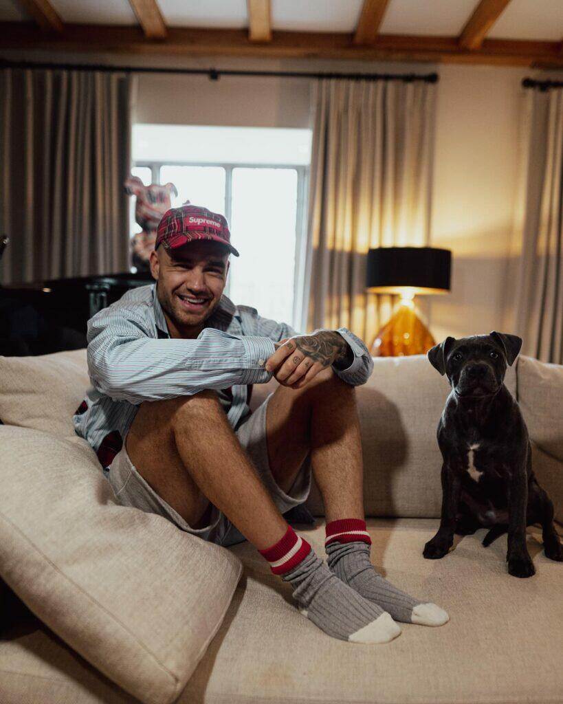 Liam Payne with his dog on Instagram