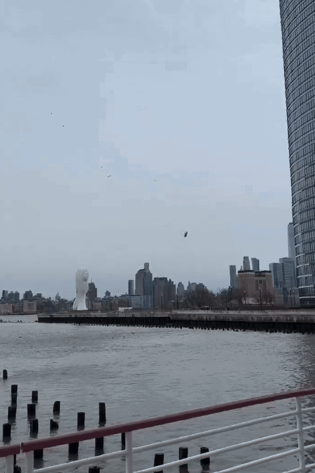 Helicopter falling into the Hudson river