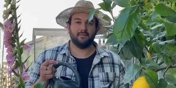 joes-garden-on-tiktok-for-gardening-tips