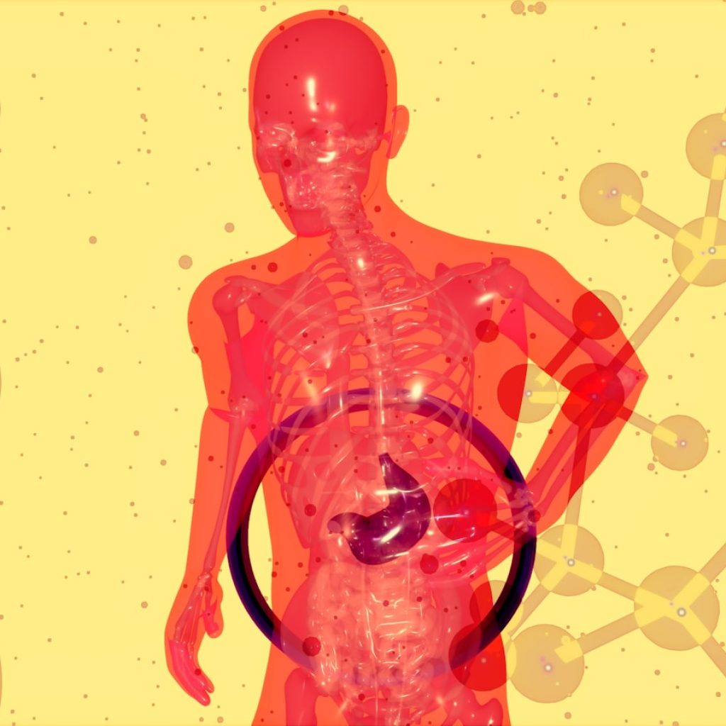 a picture of a human body with a diagram of the human body