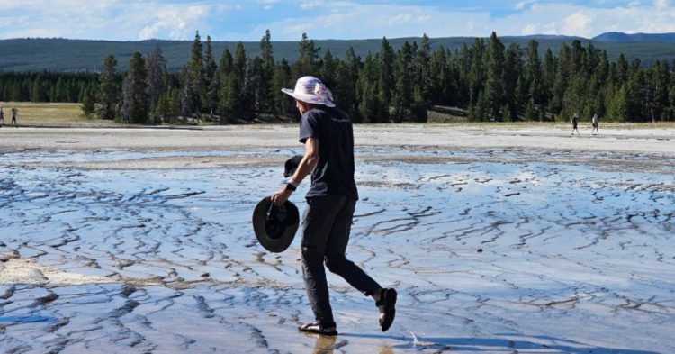 Man walking on off-limits zone in Yellowstone