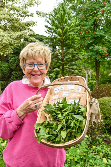 Pamela Thompson with dinosaur tree seeds