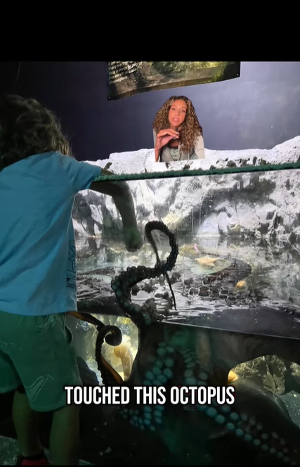 Boy with hand in Octopus tank