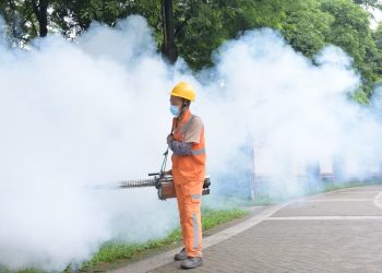 Chikungunya