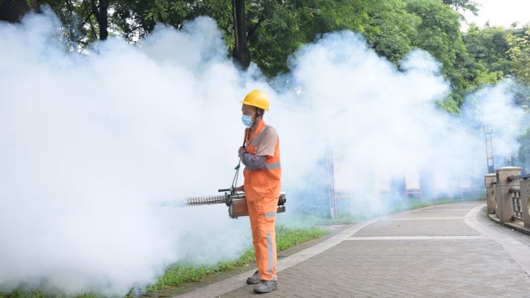 Chikungunya