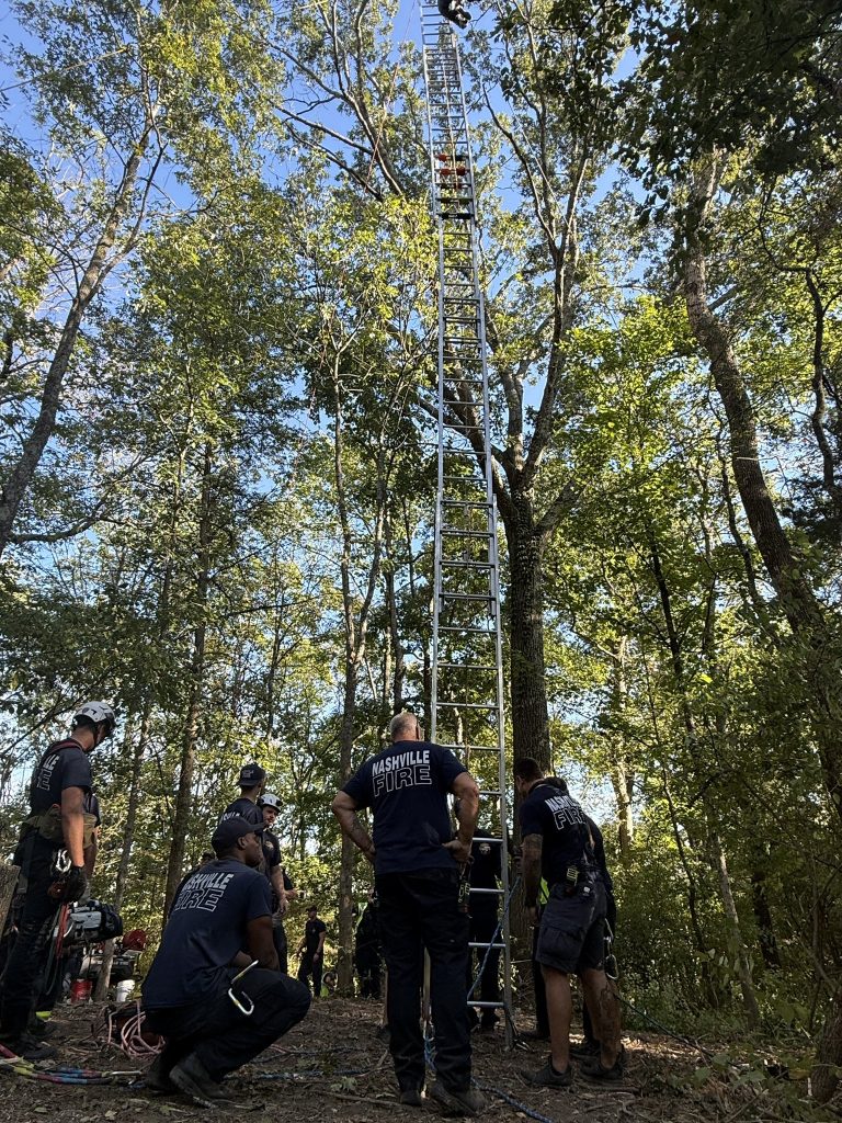 Firefighters rescuing skydiver stuck in tree