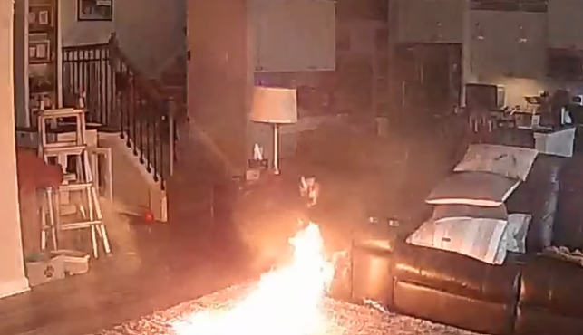 Dog starts house fire from chewing on battery