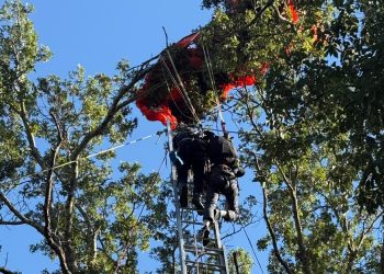 Firefighters rescuing skydiver stuck in tree