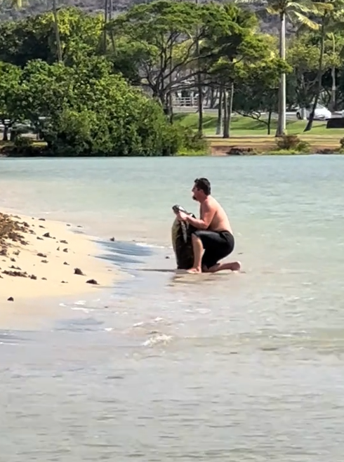 Screengrab from video of man posing with sea turtle