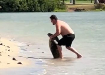 Screengrab from video of man posing with sea turtle