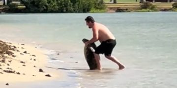 Screengrab from video of man posing with sea turtle