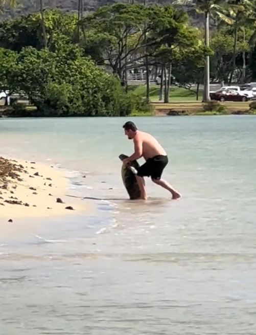 Screengrab from video of man posing with sea turtle